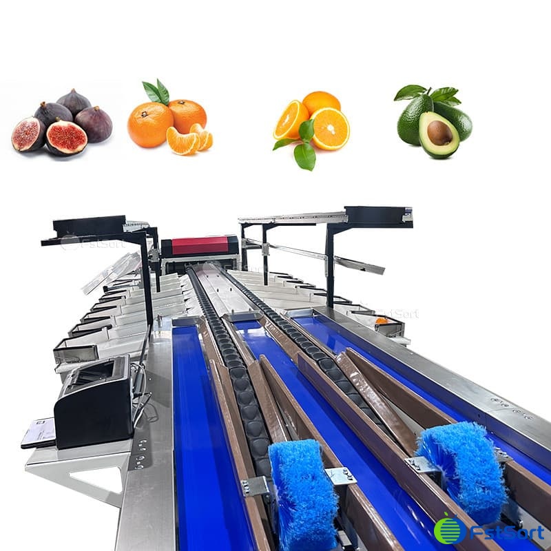 images/1766713263755figs 1.jpg